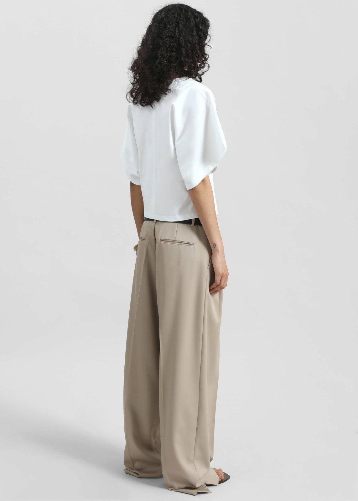 Dunbar Pleated Trousers Taupe - Women